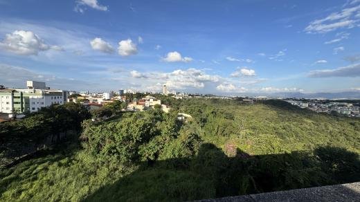 IMG-4955.jpeg