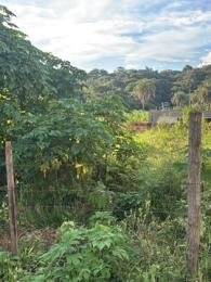 Célio Nogueira Imóveis