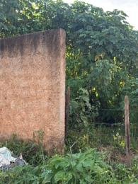 Célio Nogueira Imóveis