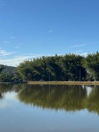 Célio Nogueira Imóveis Célio Nogueira Imóveis