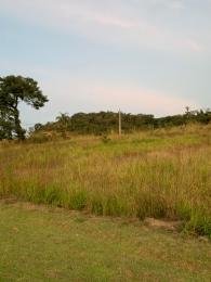 Célio Nogueira Imóveis Célio Nogueira Imóveis