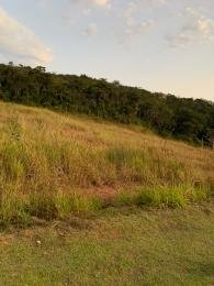 Célio Nogueira Imóveis Célio Nogueira Imóveis