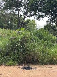 Célio Nogueira Imóveis